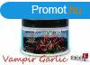 Radical Carp Vampir Garlic Neon Powder Dip 50G (3949015)