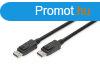 Assmann DisplayPort connection cable, DP 2m Black
