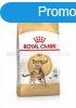 Royal Canin Bengal ADULT 400 g