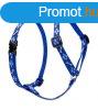 Lupine Roman hm (Dapper Dog 1,25 cm szles 31-50 cm)