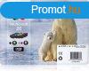 Epson T2616 (26) Multipack tintapatron