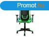 RaidMax Drakon DK925 ARGB Gaming Chair Black/Green