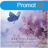 Kvi Szabolcs - Kk pillang CD - Szab Sipos Barnabssal s