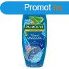 Palmolive tusfrd 500ml Welln. Massage