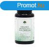 Chlorella Alga (trtt sejtfal s organikus) 60 kapszula - 