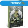 Hatridnapl mgnessel zrd, fehr lapokkal Birds 130x160