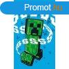 Minecraft Hissing Creeper kztrl arctrl, trlkz 30x50