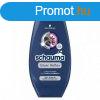 Schauma balzsam 250ml Reflex