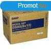 DNP DS 80-812 20x30cm /220print