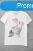Nature in the rabbit fehr pl