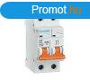 KISMEGSZAKT C42N/40A 2P CURVE C