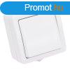 Falon kvli 1-ramkrs kapcsol 10AX/250VAC, IP54,(101)