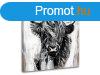 Vszonkp BULL 001 60x60 cm 60x60 cm