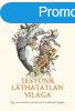 Jonathan Reisman: Testnk lthatatlan vilga