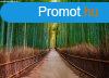 Bamboo Walk poszter DD118630