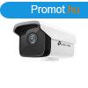 TP-Link IP cskamera - C300HP-4 (3MP, 4mm, kltri IP67, H26