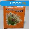 Fitodry porcsinf 50 g