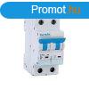 NEW KISMEGSZAKT C102L 32A 2P 10kA CURVE C