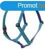 Lupine Roman hm (Rain Song 2,5 cm szles 51-81 cm)