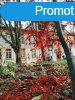 Balatonfzfn kastly villa plet zlethelysg 4 szintes 20
