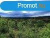Panorms ingatlan elad! - Ktcse