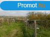 Kaposvron elad panorms zrtkerti telek