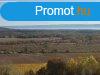 Drgicse gyngyszeme meseszp panormval
