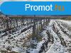 Erd kzelben -elad MEZGAZDASGI TERLET BALATONCSICSN -