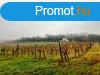 Tkletes panorms bvthet nyaral Balatonszlsn