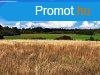Tjpanorms terlet - elad MEZGAZDASGI TERLET DRGICSN