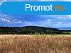 Tjpanorms terlet - elad MEZGAZDASGI TERLET DRGICSN