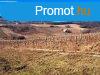 PTHET, PANORMS- elad MEZGAZDASGI TERLET SZENTJAKABF