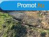Csods panorms sszkzmves telek - Szada