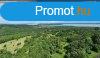 Balaton-felvidken 6,3 ha birtok, 2 db romos plettel - Vs