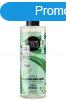 Organic Shop Gyengd arctisztt gl aloe verval s avokd
