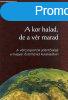 A kor halad, de a vr marad- A vrcsoport jelentsge a magy