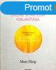 Online stratgia kialaktsa - Matt Haig