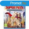 DC League of Super-Pets: The Adventures of Krypto and Ace - 