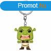 POP! Kulcstart Scary Shrek (Shrek) Special Edition