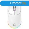 Rampage Prote M5 Pro Wired/Wireless Gaming Mouse White