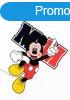 Disney textil-tetra kifog 140*140 cm - M M