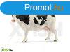 Schleich: Holstein tehn figura 13797