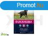 Eukanuba Adult Large kutyatp 3kg