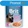BRIT PREMIUM CAT TASAK DELICATE FILLETS IN GRAVY WITH SALMON