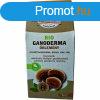 Biogomba bio ganoderma rlemny 20 g