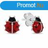 Brilio Silver Jtkos ezst flbeval Katicabogr EA1048W