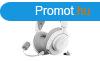 Steelseries Arctis Nova 3XW Wireless Bluetooth Gaming Headse