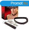  Bad Kitty Collar And Leash 
