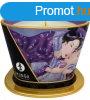 Shunga Massage Candle Exotic Fruits 170 ml
