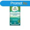 Tulsi PEPPERMINT REFRESH, filteres bio tea, 25 filter - Orga